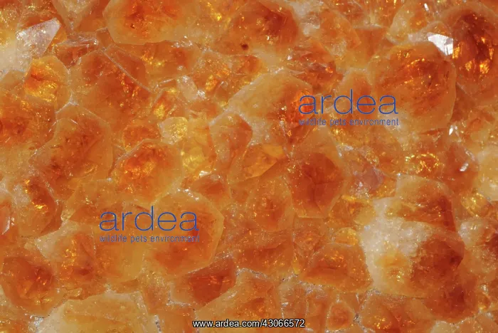 : Citrine, a variety of quartz. Due to trace amounts of iron, it ranges in color : Citrine, a variety of quartz. Due to trace amounts of iron, it ranges in color