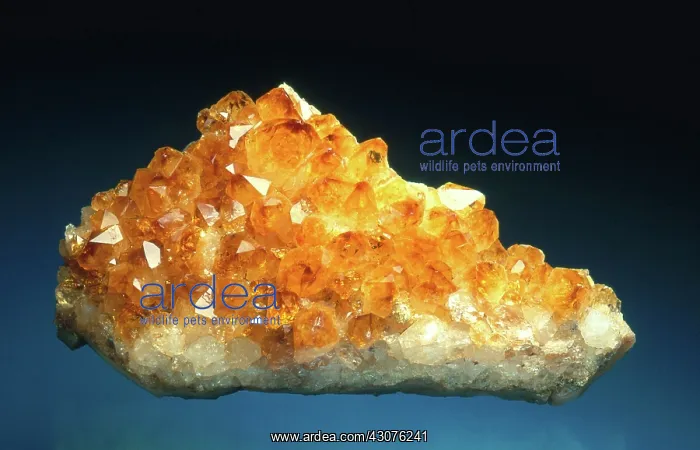: Citrine Quartz : Citrine Quartz