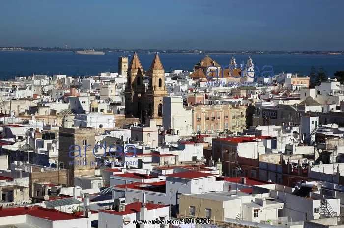 : City of Cadiz, view from Torre Tavira to the old : City of Cadiz, view from Torre Tavira to the old