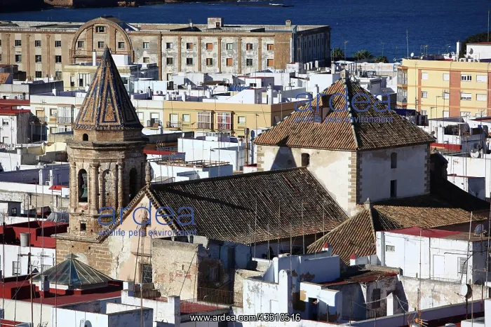 : City of Cadiz, view from Torre Tavira to the old : City of Cadiz, view from Torre Tavira to the old