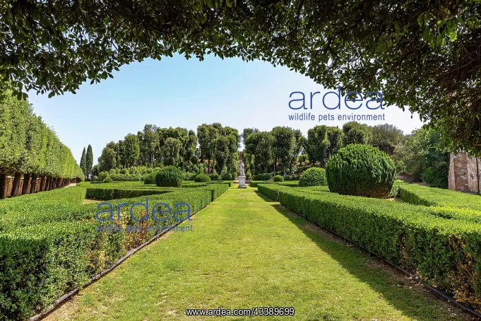 : City Garden Horti Leonini, San Quirico dOrcia, Tuscany : City Garden Horti Leonini, San Quirico dOrcia, Tuscany