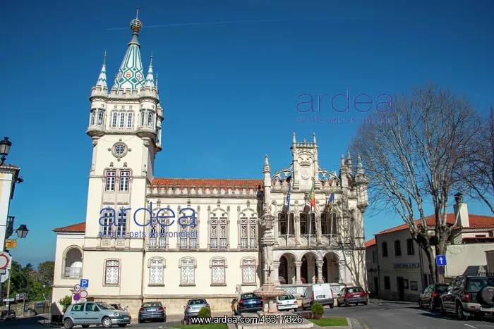 : City Hall, Cultural Landscape Sintra, Sintra, Portugal : City Hall, Cultural Landscape Sintra, Sintra, Portugal