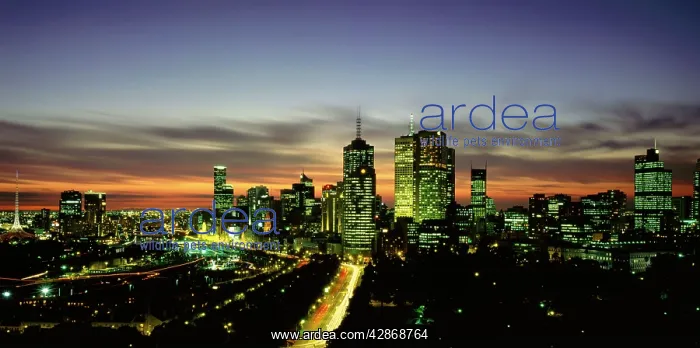 : City from Hilton-on-the-Park hotel Melbourne : City from Hilton-on-the-Park hotel Melbourne
