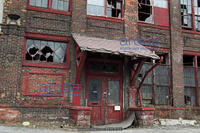 : City of Niagara Falls - New York - Empty factory : City of Niagara Falls - New York - Empty factory
