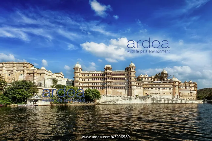  : City Palace view from the lake. Udaipur, Rajasth