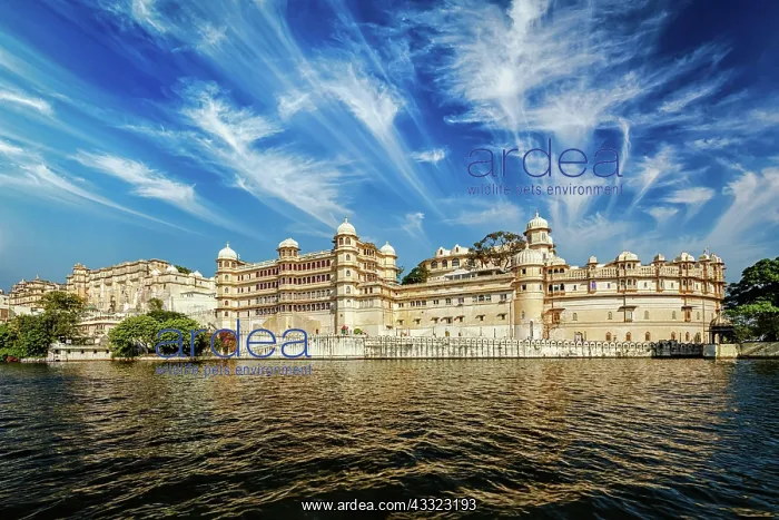 : City Palace view from the lake. Udaipur, Rajasthan : City Palace view from the lake. Udaipur, Rajasthan