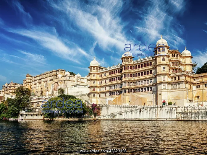 : City Palace view from the lake. Udaipur, Rajasthan : City Palace view from the lake. Udaipur, Rajasthan
