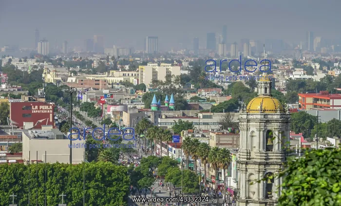 : City panorama, Mexico City, Mexico, Central America : City panorama, Mexico City, Mexico, Central America
