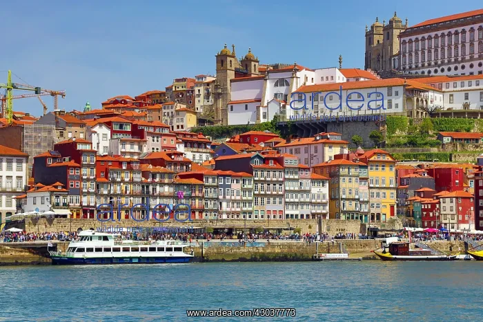 : The city of Porto, the cathedral and the River Douro : The city of Porto, the cathedral and the River Douro