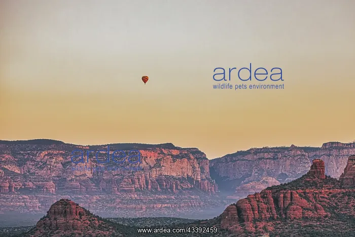 : City of Sedona : City of Sedona