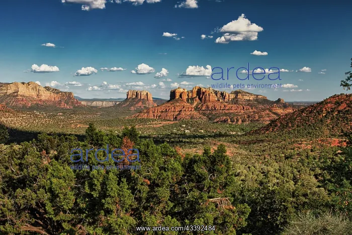 : City of Sedona : City of Sedona