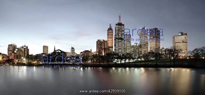 : City skyline across the Yarra River, evening. Melbourne : City skyline across the Yarra River, evening. Melbourne