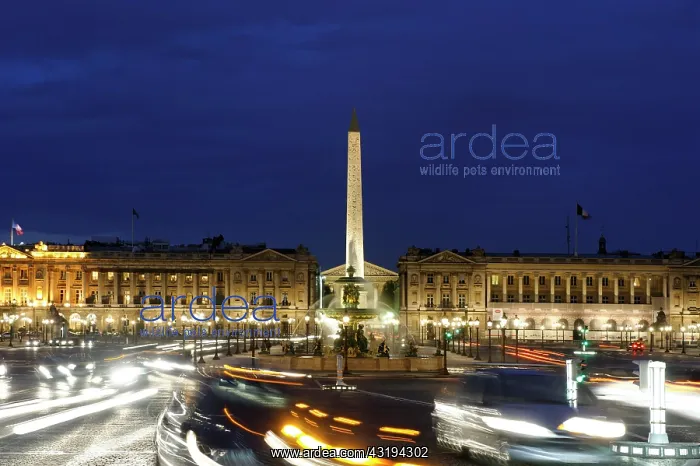 : City traffic and Obelisque at the Place de la Concorde : City traffic and Obelisque at the Place de la Concorde