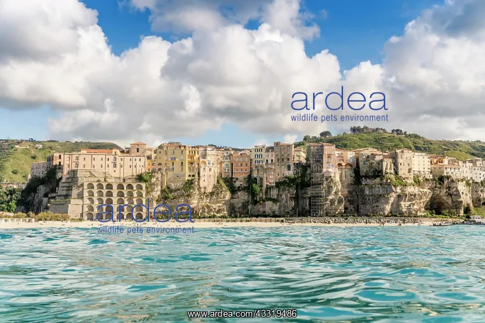 : City view, Tropea, Calabria, Italy, Europe Aerial : City view, Tropea, Calabria, Italy, Europe Aerial