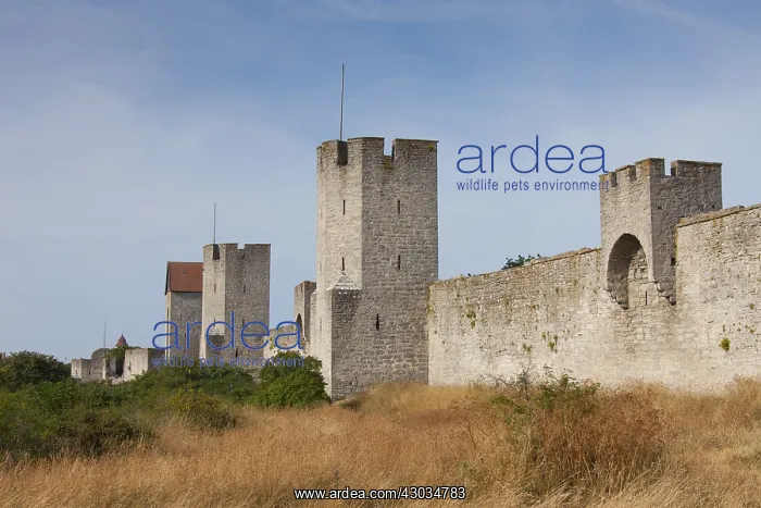  : City wall of Visby - Gotland island - Sweden