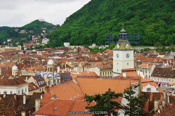 : Cityscape, Brasov, Romania : Cityscape, Brasov, Romania