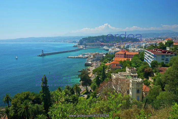 : Cityscape of Nice, Nice, French Riviera, Alpes-Maritimes : Cityscape of Nice, Nice, French Riviera, Alpes-Maritimes