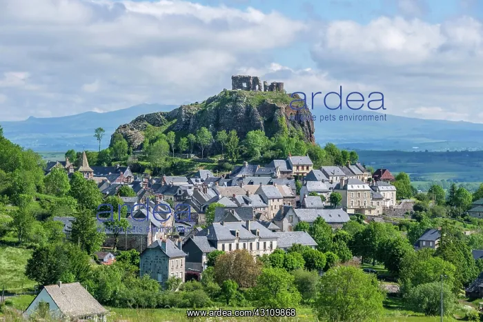 : Cityview, Aurillac, Auvergne Volcanoes Natural Park : Cityview, Aurillac, Auvergne Volcanoes Natural Park