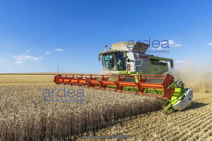 : Claas combine harvester, grain harvest, harvesting : Claas combine harvester, grain harvest, harvesting