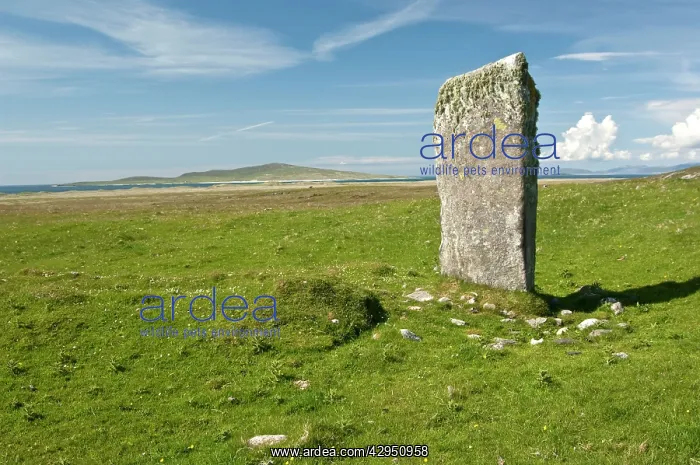  : Clach Mhor, standing stone - thought to be as old as 1800BC