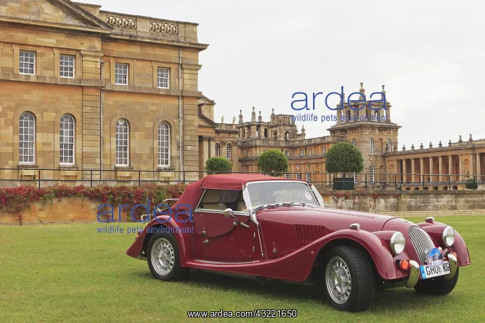 : Classic car exhibition in front of Blenheim : Classic car exhibition in front of Blenheim