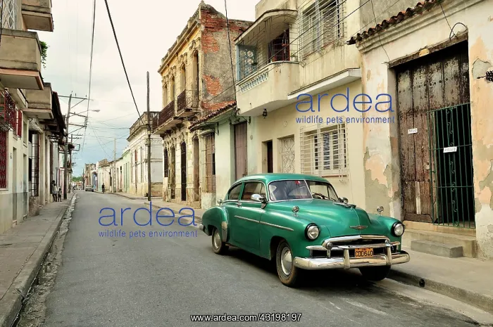 : Classic car in the historic district of Camaguey : Classic car in the historic district of Camaguey