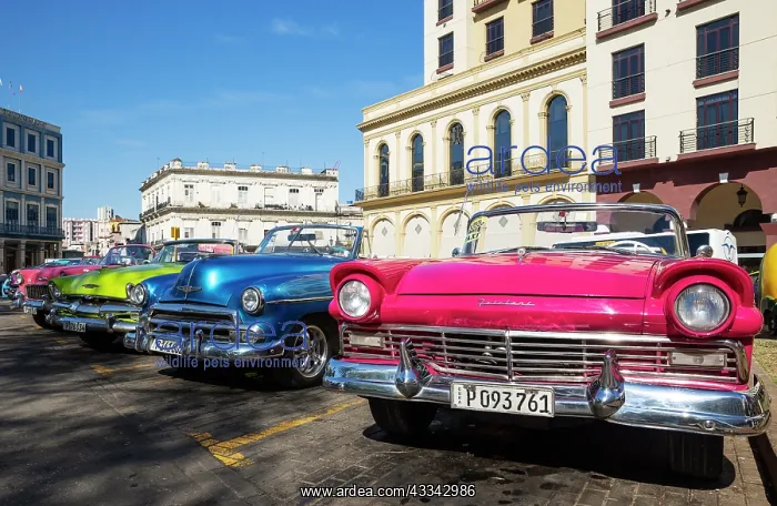 : US classic cars from the 1950s can be hired for : US classic cars from the 1950s can be hired for