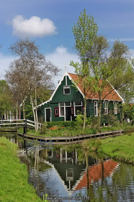  : Classic Dutch homes, Zaanse Schans, Holland