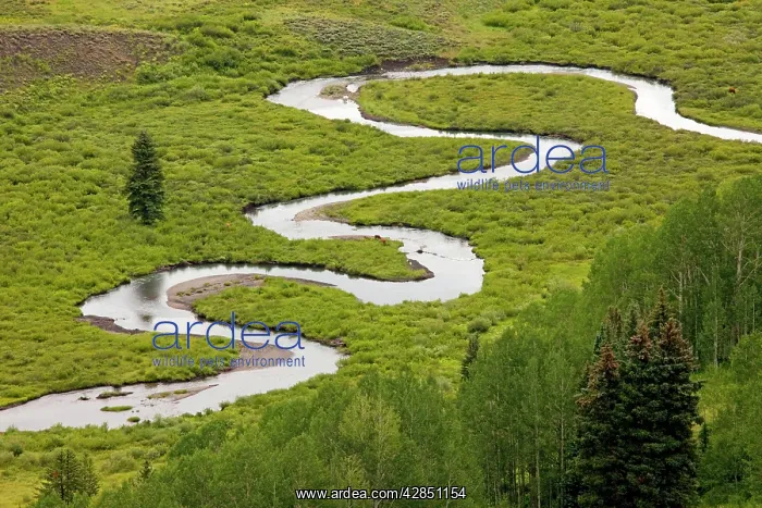 : Classic meanders on East River : Classic meanders on East River
