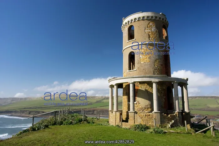 : Clavel tower at Kimmeridge, coast of Dorset, just : Clavel tower at Kimmeridge, coast of Dorset, just