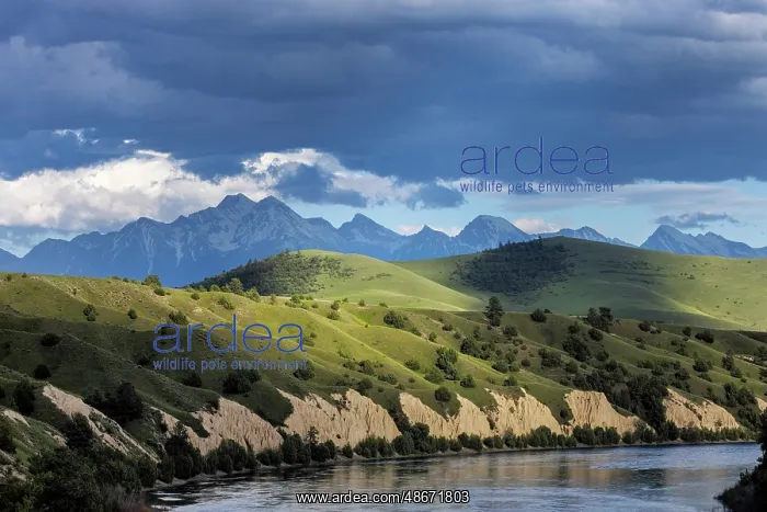 : Clay cliffs along the Flathead River with Mission Mountains : Clay cliffs along the Flathead River with Mission Mountains