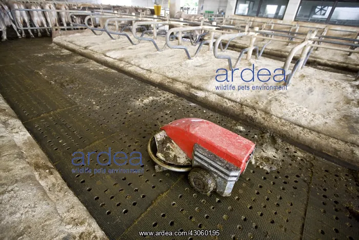 : Cleaning robot on the floor of a stall Italy : Cleaning robot on the floor of a stall Italy