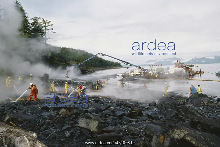 : Cleanup After Exxon-Valdez Spill : Cleanup After Exxon-Valdez Spill