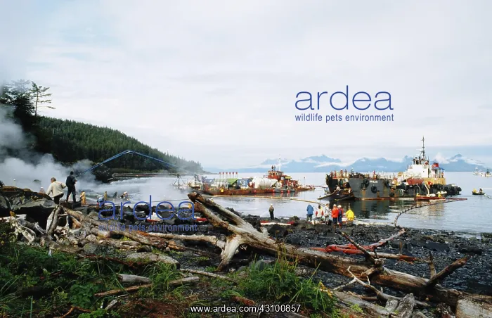 : Cleanup After Exxon-Valdez Spill : Cleanup After Exxon-Valdez Spill