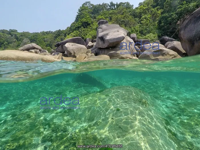 : The clear water and rocks of Ko Miang island : The clear water and rocks of Ko Miang island