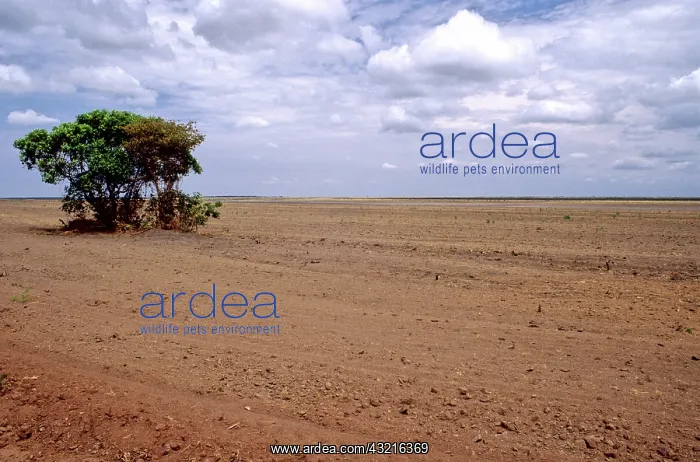 : Clearcut for soybean production, Brazil : Clearcut for soybean production, Brazil