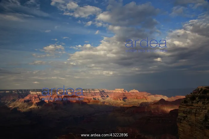: Clearing storm, Grand Canyon, Grand Canyon : Clearing storm, Grand Canyon, Grand Canyon