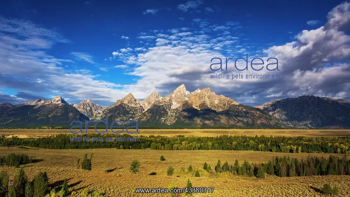 : Clearing storm over the Teton Range, Grand Teton : Clearing storm over the Teton Range, Grand Teton
