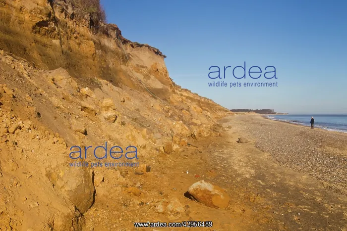 : Cliff Erosion : Cliff Erosion