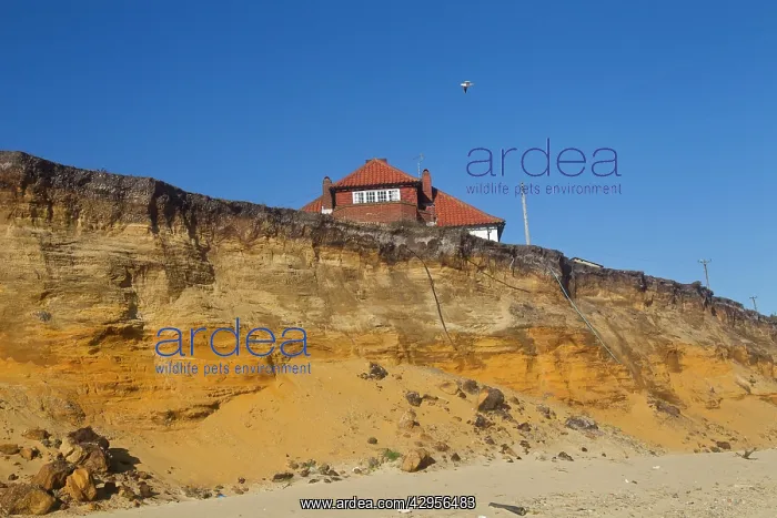 : Cliff Erosion - this house will soon fall victim to erosion : Cliff Erosion - this house will soon fall victim to erosion