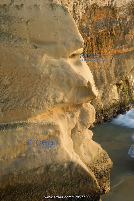 : Cliff Face - sandstone cliff which's shape looks : Cliff Face - sandstone cliff which's shape looks
