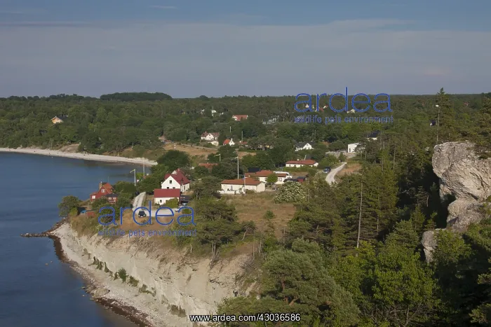 : Cliff Hoegklint near Visby - Gotland, Sweden : Cliff Hoegklint near Visby - Gotland, Sweden