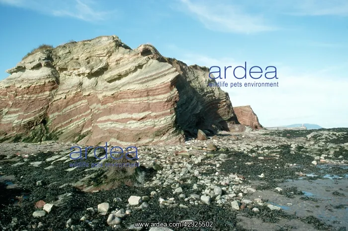 : CLIFFS - on beach : CLIFFS - on beach