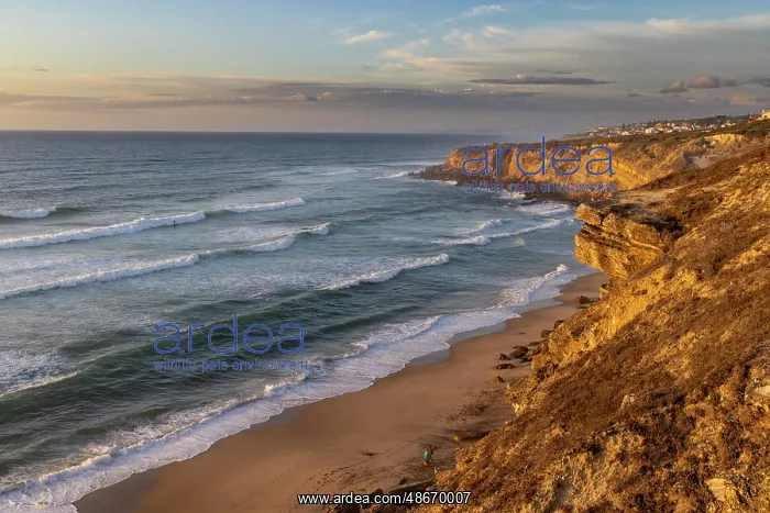: Cliffs over beach at Colares, Portugal : Cliffs over beach at Colares, Portugal