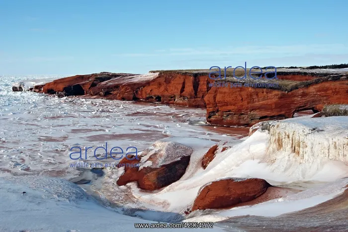 : Cliffs - Cap aux Meules : Cliffs - Cap aux Meules