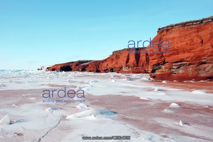 : Cliffs - Cap aux Meules : Cliffs - Cap aux Meules