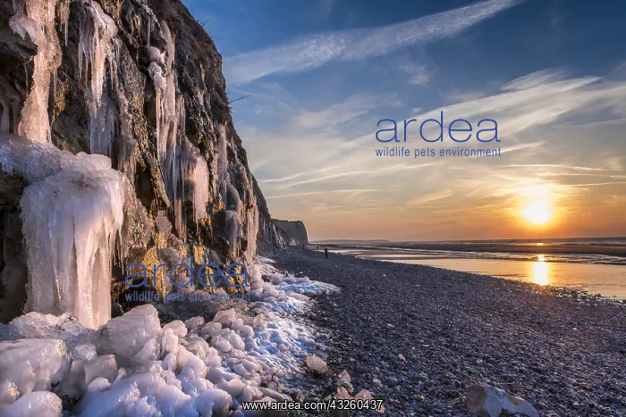 : Cliffs of Cap Blanc-Nez in winter, Pas de Calais : Cliffs of Cap Blanc-Nez in winter, Pas de Calais