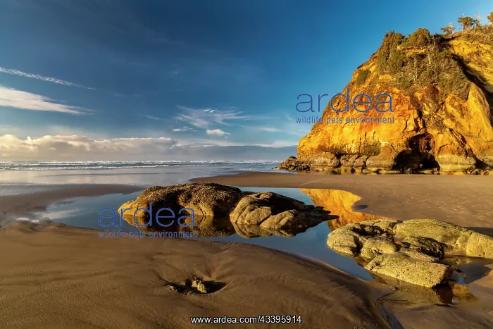 : Cliffs and Caves at Hug Point near Cannon Beach : Cliffs and Caves at Hug Point near Cannon Beach