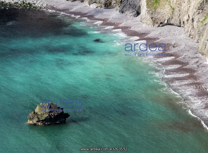 : The cliffs between Dale and Huxter close : The cliffs between Dale and Huxter close