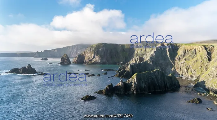 : The cliffs between Dale and Huxter close : The cliffs between Dale and Huxter close